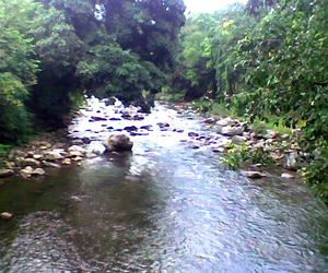 Rombagre Fish Sanctuary, Songkal Wari, Rombagre, West Garo Hills, Meghalaya